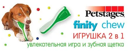 Felidae cat - kitten (феліде для кішок і кошенят), інтернет-зоомагазин (felidae) Felidae cat - kitten (феліде для кішок і кошенят), інтернет-зоомагазин