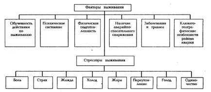 Фактори виживання в екстремальних умовах (умовах) Фактори виживання в екстремальних умовах