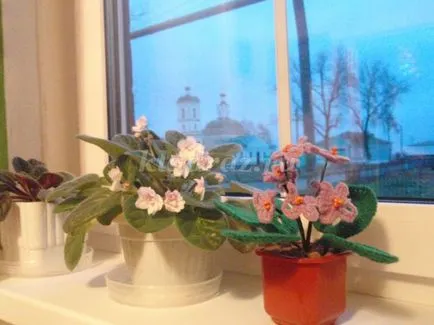фіалки гачком