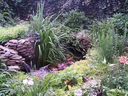 Фільтрація штучних водойм, види фільтрації водойм, механічна хімічна фізична (механічна) Фільтрація штучних водойм, види фільтрації водойм, механічна хімічна фізична