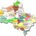 Фунгіциди для томатів від фітофтори (фітофтори) Фунгіциди для томатів від фітофтори