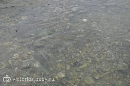 Фрагменти моєму житті на Сахаліні (фото))))))) (життя) Фрагменти моєму житті на Сахаліні (фото)))))))