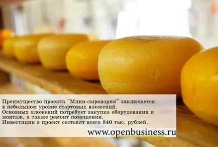 Франшиза мережі булочних пекарень «bonape» (Бізнес-план магазину жіночого одягу) Франшиза мережі булочних пекарень «bonape»