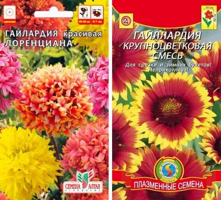 Гайлардія фото квітів, вирощування розсади, коли і як садити (фото) Гайлардія фото квітів, вирощування розсади, коли і як садити