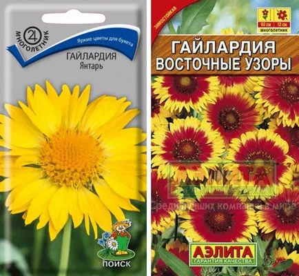 Гайлардія фото квітів, вирощування розсади, коли і як садити (гайлардия фото квітів розсада коли садити) Гайлардія фото квітів, вирощування розсади, коли і як садити
