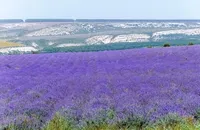 Де знаходиться крим 1