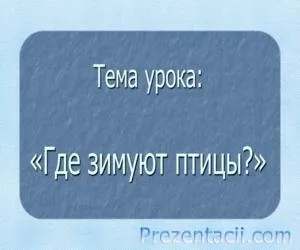 Де зимують птахи презентація