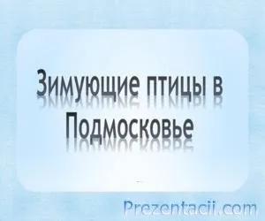 Де зимують птахи презентація