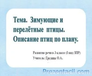 Де зимують птахи презентація