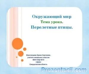 Де зимують птахи презентація