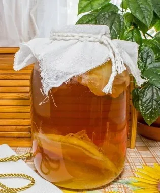 Де люди беруть чайний гриб