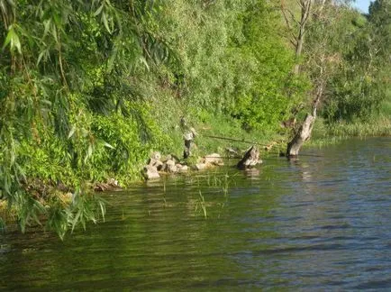 Де знаходиться озеро старица опис, відпочинок, рибалка, фото (озеро) Де знаходиться озеро старица опис, відпочинок, рибалка, фото