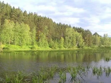 Де знаходиться озеро старица опис, відпочинок, рибалка, фото (знаходиться) Де знаходиться озеро старица опис, відпочинок, рибалка, фото
