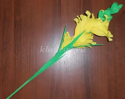 Гладіолуси з креповой паперу