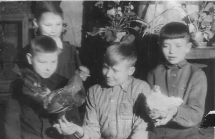 Міський палац творчості дітей та молоді обдарованості і технології (палац) Міський палац творчості дітей та молоді обдарованості і технології