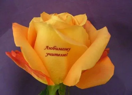 Квіти, що розмовляють - нововведення в сучасній флористиці! (Говорять) Квіти, що розмовляють - нововведення в сучасній флористиці!