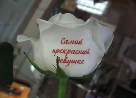 Квіти, що розмовляють - нововведення в сучасній флористиці! (Флористики) Квіти, що розмовляють - нововведення в сучасній флористиці!