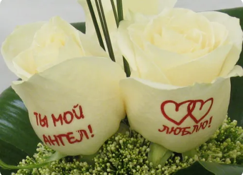 Квіти, що розмовляють - нововведення в сучасній флористиці! (Говорять) Квіти, що розмовляють - нововведення в сучасній флористиці!