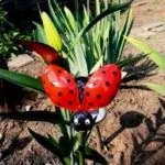 Кольорова крейда своїми руками, все про дітей і сім'ю (зробити крейда своїми руками) Кольорова крейда своїми руками, все про дітей і сім'ю
