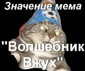 Що значить кіт вжух мем звідки взявся кіт вжух оригінал (взявся) Що значить кіт вжух мем звідки взявся кіт вжух оригінал
