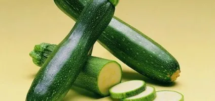 Цукіні і кабачки чим відрізняються, практичні поради (відрізняються) Цукіні і кабачки чим відрізняються, практичні поради