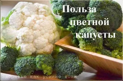 Цвітна капуста користь і шкода для організму, здоров'я як зусилля волі (користь) Цвітна капуста користь і шкода для організму, здоров'я як зусилля волі