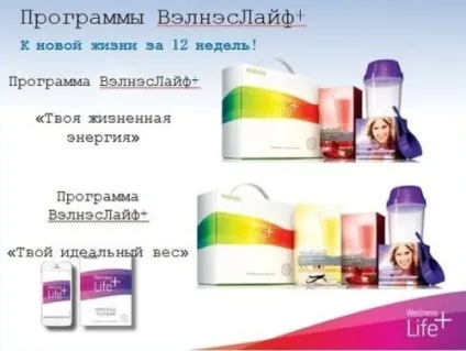 Що таке wellness і для чого він потрібен (варіанти наочні схеми) Що таке wellness і для чого він потрібен
