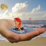 Ідеологія ліберералізма, врата в гармонію () Ідеологія ліберералізма, врата в гармонію