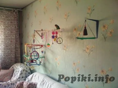 Ігрові стенди своїми руками - Попіки (птах) Ігрові стенди своїми руками - Попіки