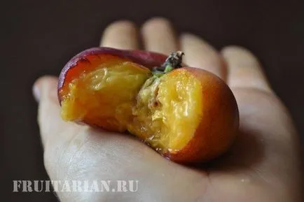 Інжирні персики бувають декількох сортів (інжирні) Інжирні персики бувають декількох сортів