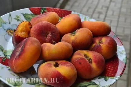 Інжирні персики бувають декількох сортів (декількох) Інжирні персики бувають декількох сортів