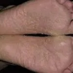 Исповедь вегетаріанця