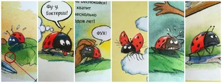 З чого зроблено все