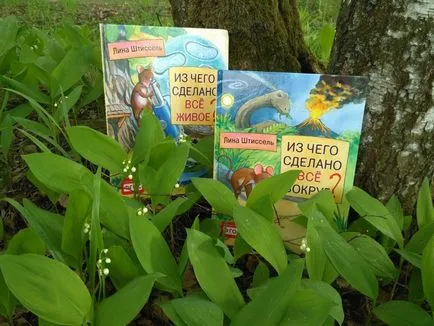 З чого зроблено все
