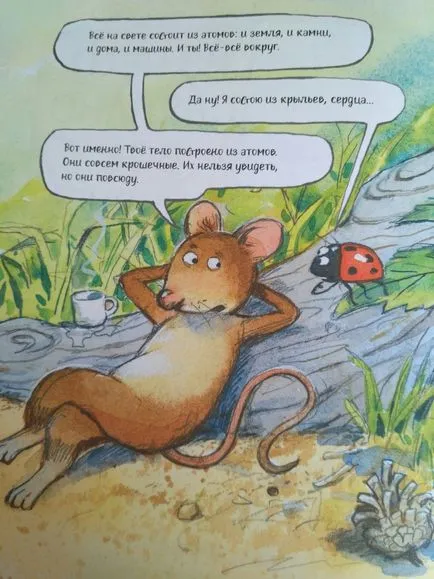 З чого зроблено все