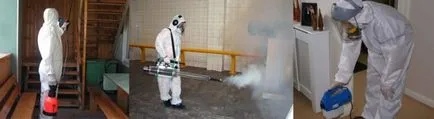 Як боротися з клопами самостійно в домашніх умовах (клопами) Як боротися з клопами самостійно в домашніх умовах