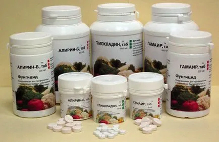 Як боротися з фітофторою на картоплі ефективні способи (боротися) Як боротися з фітофторою на картоплі ефективні способи