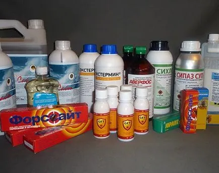 Як боротися з клопами самостійно в домашніх умовах (боротися) Як боротися з клопами самостійно в домашніх умовах