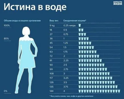 Як швидко скинути вагу після свят (свят) Як швидко скинути вагу після свят