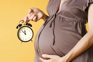 Які документи потрібні для оформлення пенсії за віком, як і де її оформити (документи) Які документи потрібні для оформлення пенсії за віком, як і де її оформити