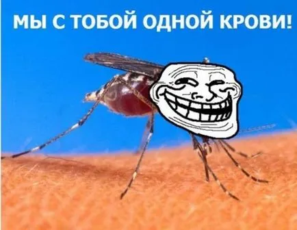 Як ефективно боротися з комарами в квартирі (комарами) Як ефективно боротися з комарами в квартирі