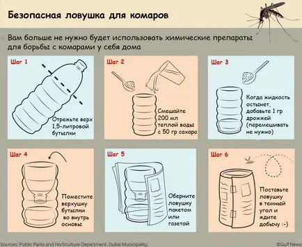 Як ефективно боротися з комарами в квартирі (комарами) Як ефективно боротися з комарами в квартирі