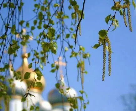 Як це я тебе матері, а ти мені Як це я тебе матері, а ти мені