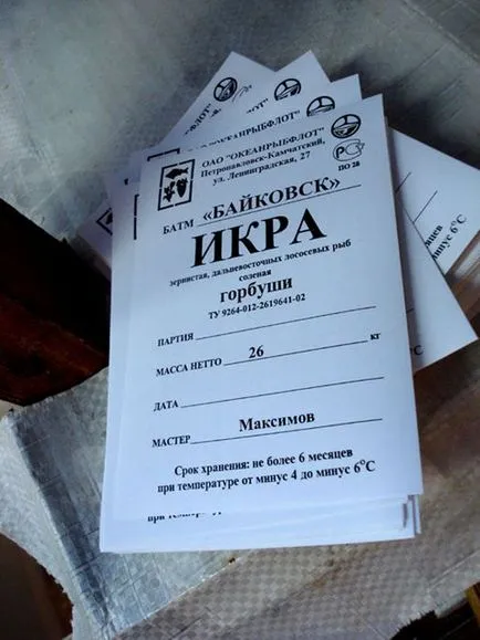 Як добувають червону ікру (11 фото) - Трініксі (додавання) Як добувають червону ікру (11 фото) - Трініксі