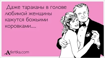 Як позбутися від тарганів в голові, серці дурня (тарганів) Як позбутися від тарганів в голові, серці дурня