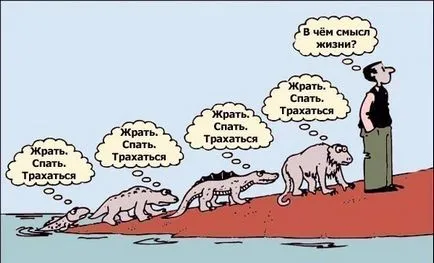 Як позбутися від тарганів в голові, серці дурня (позбутися тарганів голові) Як позбутися від тарганів в голові, серці дурня