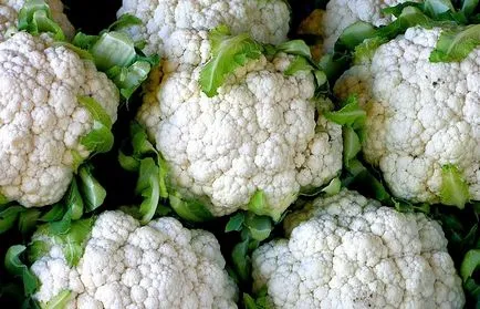 Які продукти краще терти на тертці (краще) Які продукти краще терти на тертці