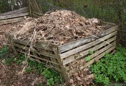 Як позбутися від змій (вужів) на дачній ділянці засоби захисту (дачній) Як позбутися від змій (вужів) на дачній ділянці засоби захисту