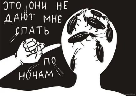 Як позбутися від тарганів в голові, серці дурня (тарганів Вашій голові) Як позбутися від тарганів в голові, серці дурня