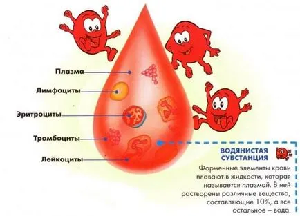 Які складові належать до внутрішньої середовищі організму, відносяться до комплексу відокремлених (організму) Які складові належать до внутрішньої середовищі організму, відносяться до комплексу відокремлених